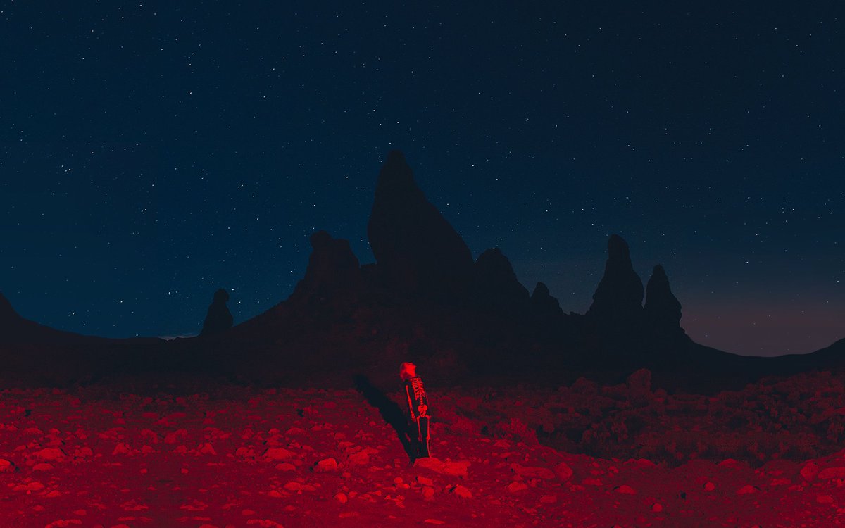 Phoebe Bridgers Brasil tweet media