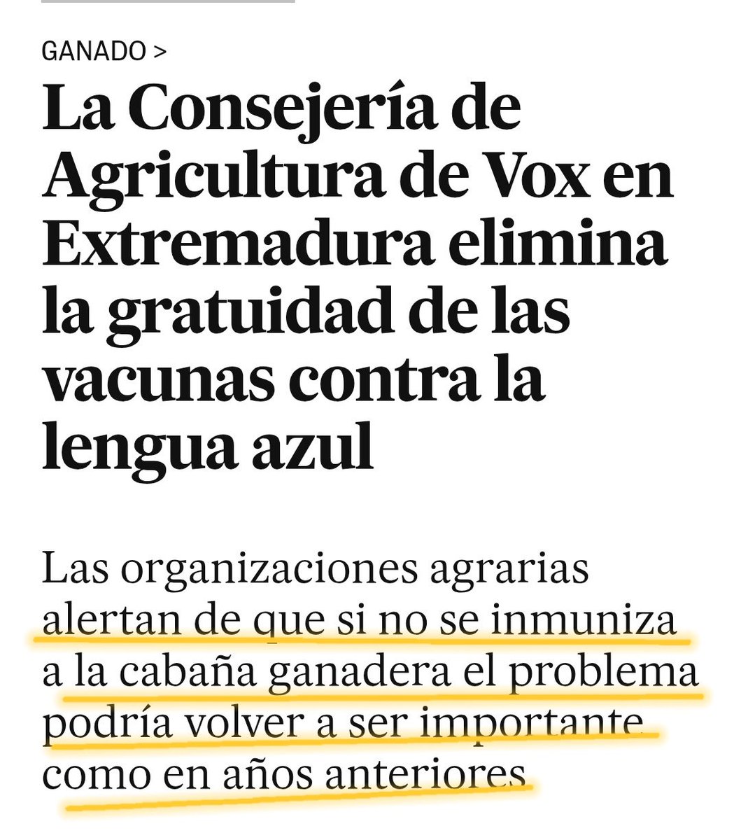 magda paredes ♀️🌹🇪🇸🏳️🌈🇵🇸🍉 tweet media