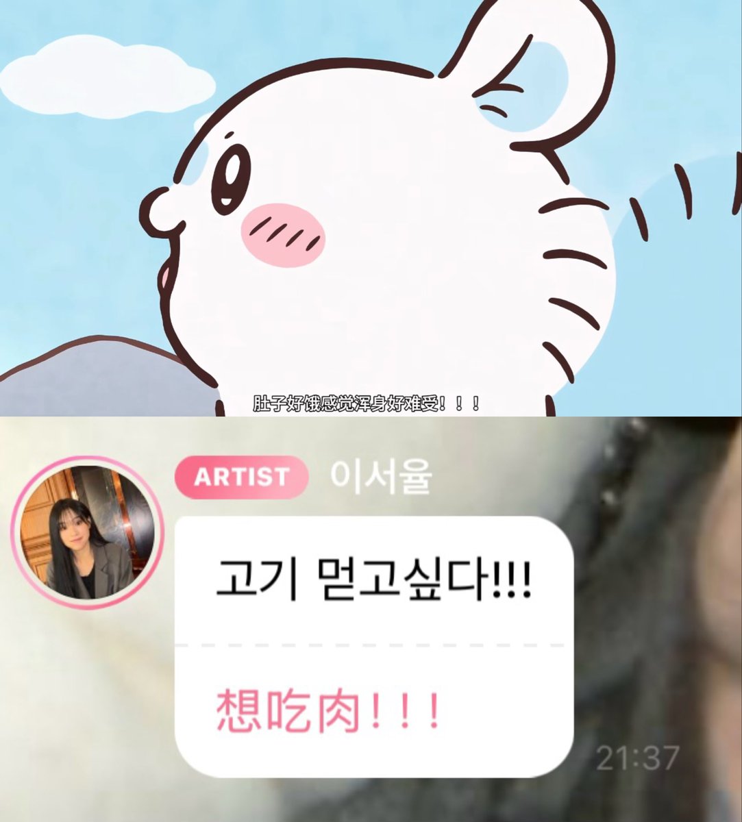 choco tweet media