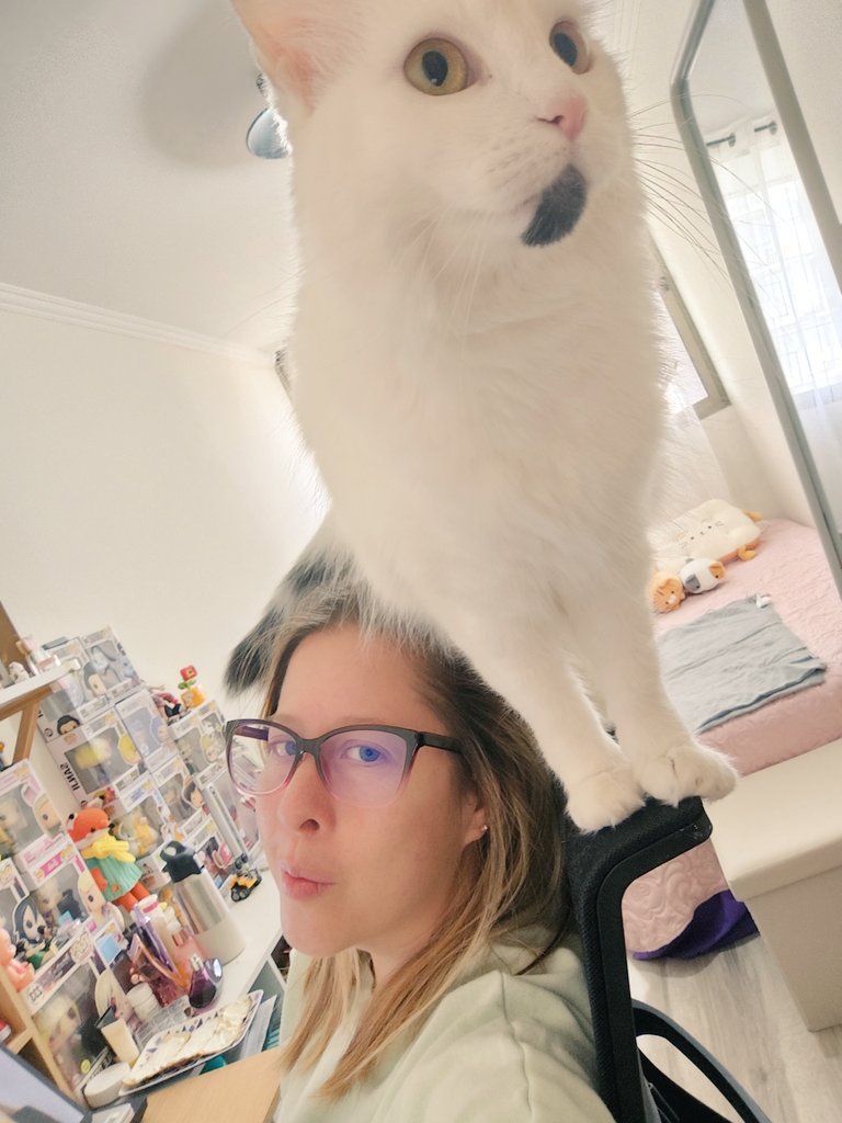 ॐ🍂😺Jo & Gatar😺🍂ॐ tweet media