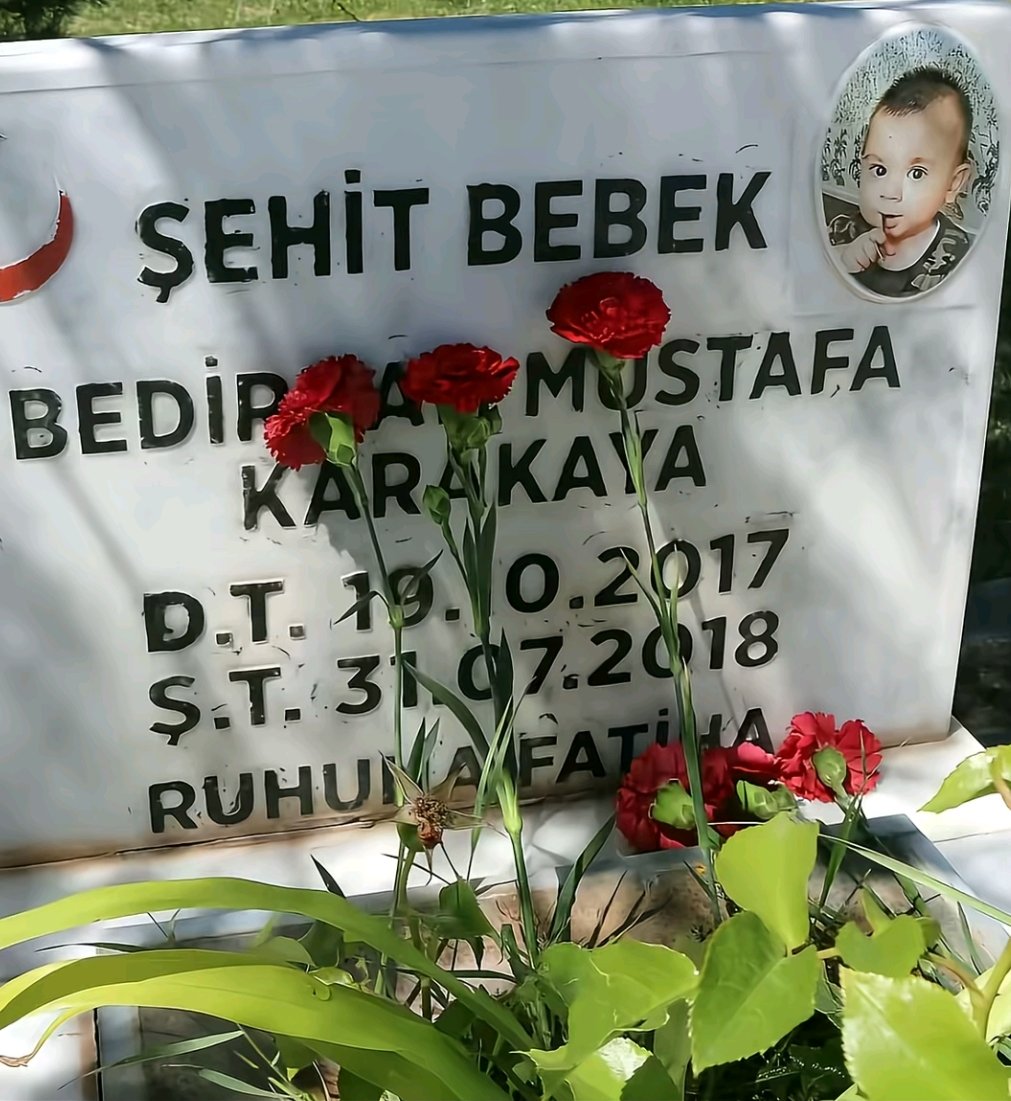 Elfie🌷🇹🇷 tweet media