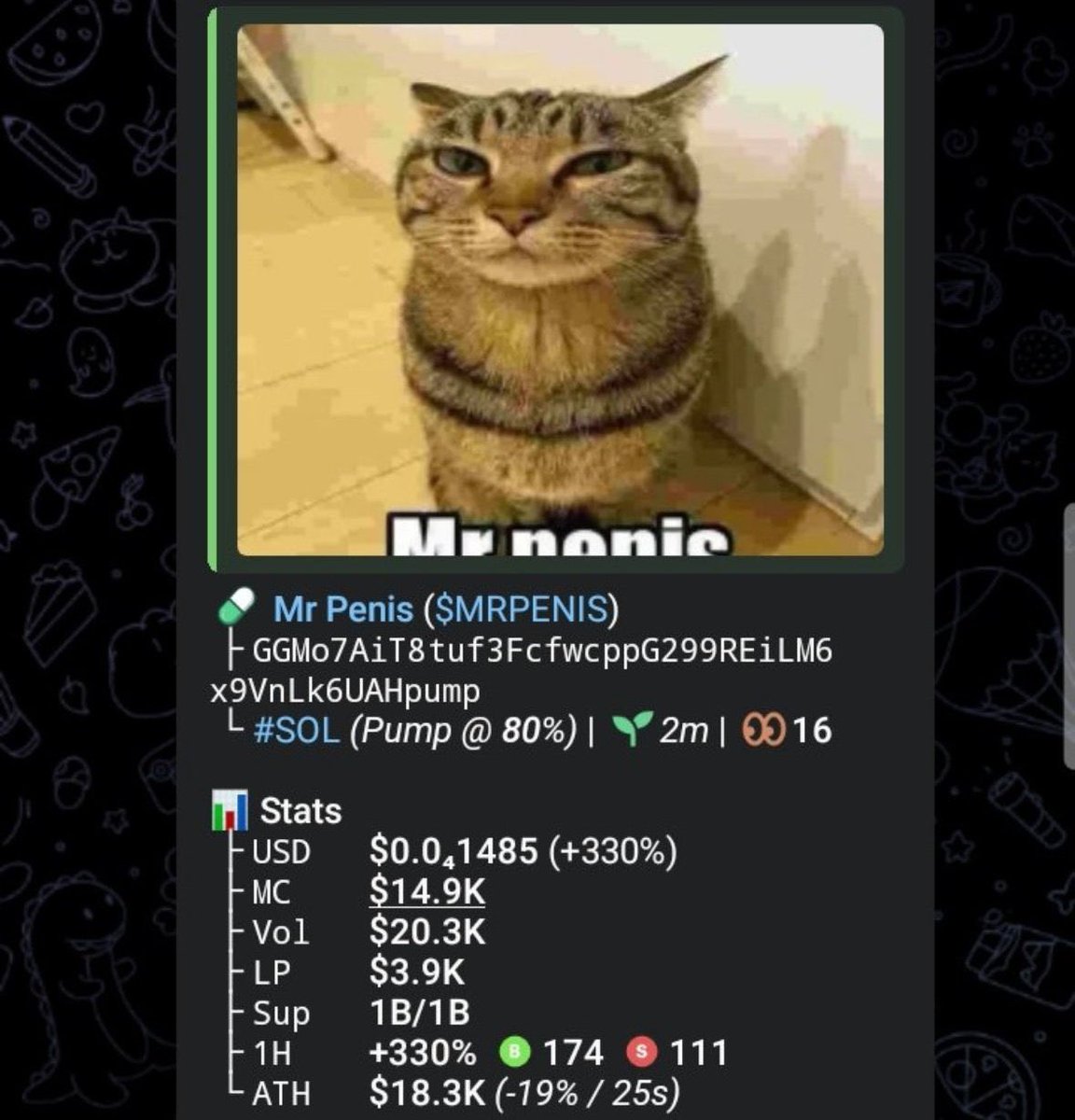 MEME_WARRIOR 🦍 tweet media