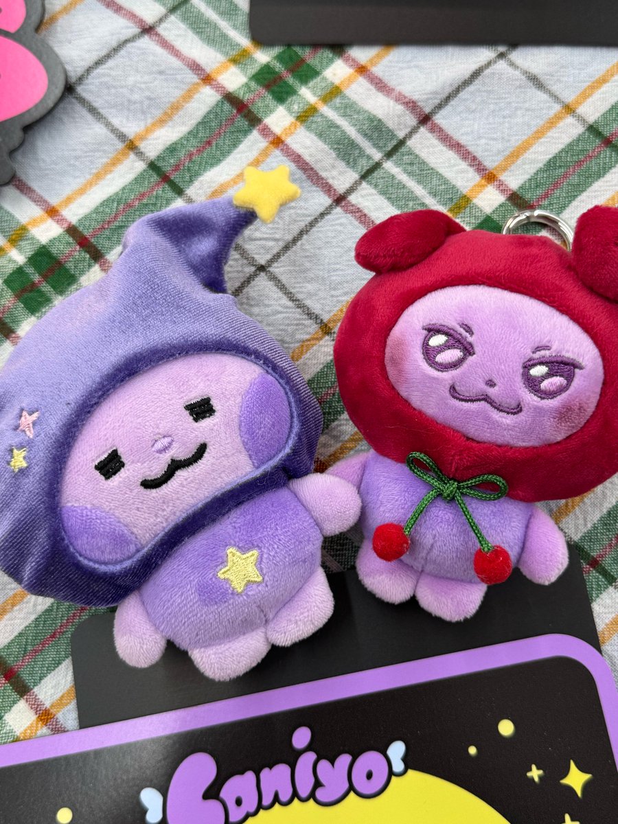 𝐄𝐕𝐈𝐄 ฅᗢฅ 🤍 tweet media