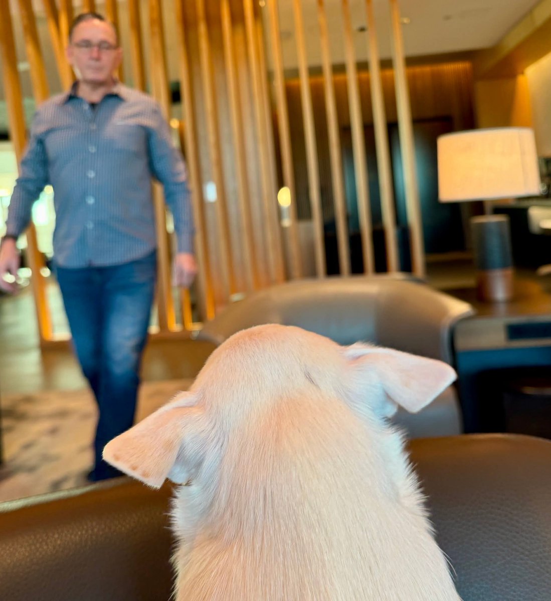 Lucas_William00's tweet photo. Just me and my best friend keeping life simple, peaceful, and full of good energy 🐾💛
If you love loyalty, calm vibes, and a little happiness, you’re already my type of person 😌✨
#DogsOfTwitter #DogLover #DogLife #PetLove #MyBestFriend #GoodVibeOnly #PositiveVibe #AnimalLover https://t.co/o6H3SB5QBm