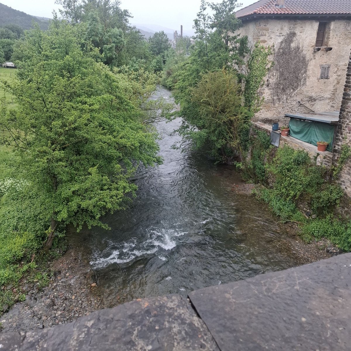 graziosi59's tweet photo. https://t.co/4vti3wnjej