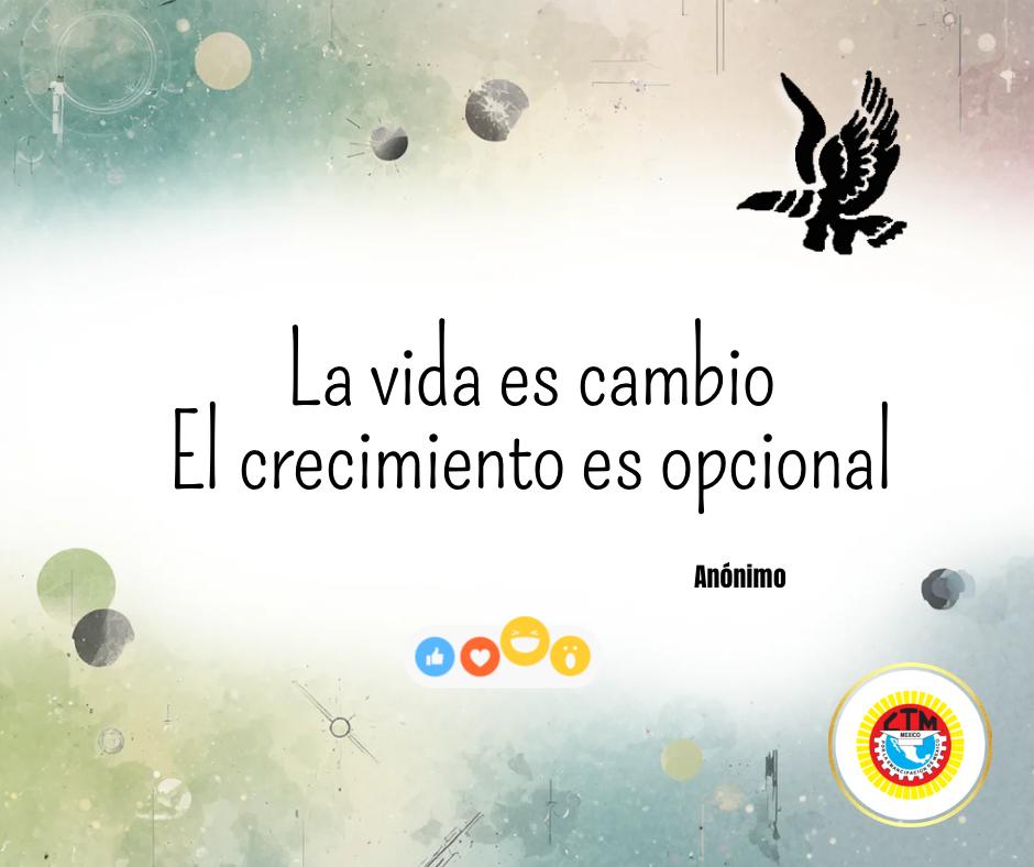 STIRTT TOLUCA tweet media
