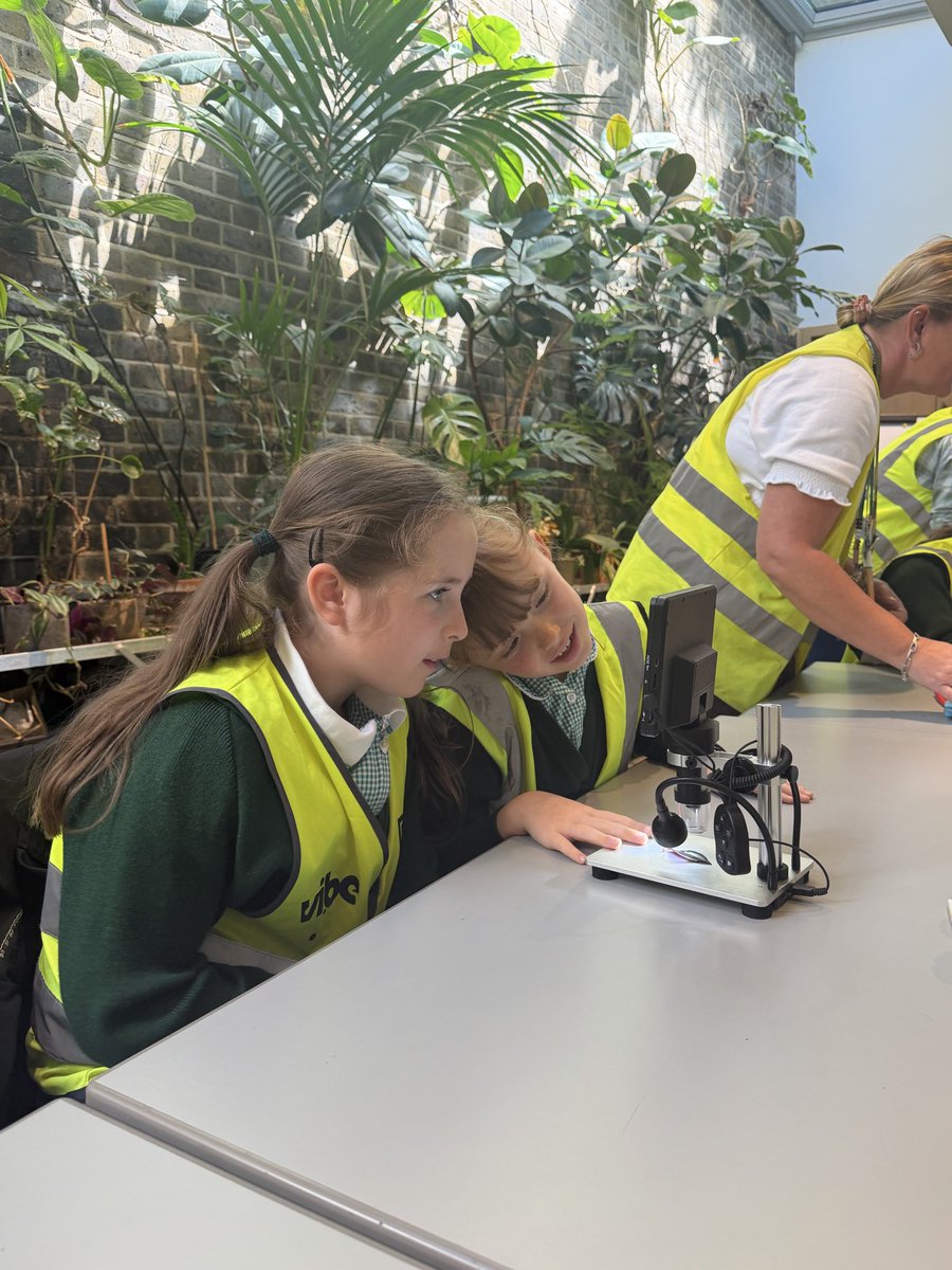 StAndrewsSW16's tweet photo. 3G loved their trip to @GardenMuseumLDN today! They got stuck in with a workshop about water transport in plants, using blue food colouring to observe how water travels up the xylem tubes of the stem 🌱🔬🧑‍🔬 https://t.co/oOfAIQ0Vn4