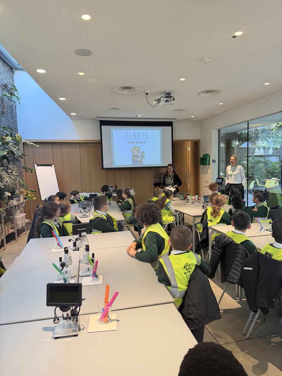 StAndrewsSW16's tweet photo. 3G loved their trip to @GardenMuseumLDN today! They got stuck in with a workshop about water transport in plants, using blue food colouring to observe how water travels up the xylem tubes of the stem 🌱🔬🧑‍🔬 https://t.co/oOfAIQ0Vn4