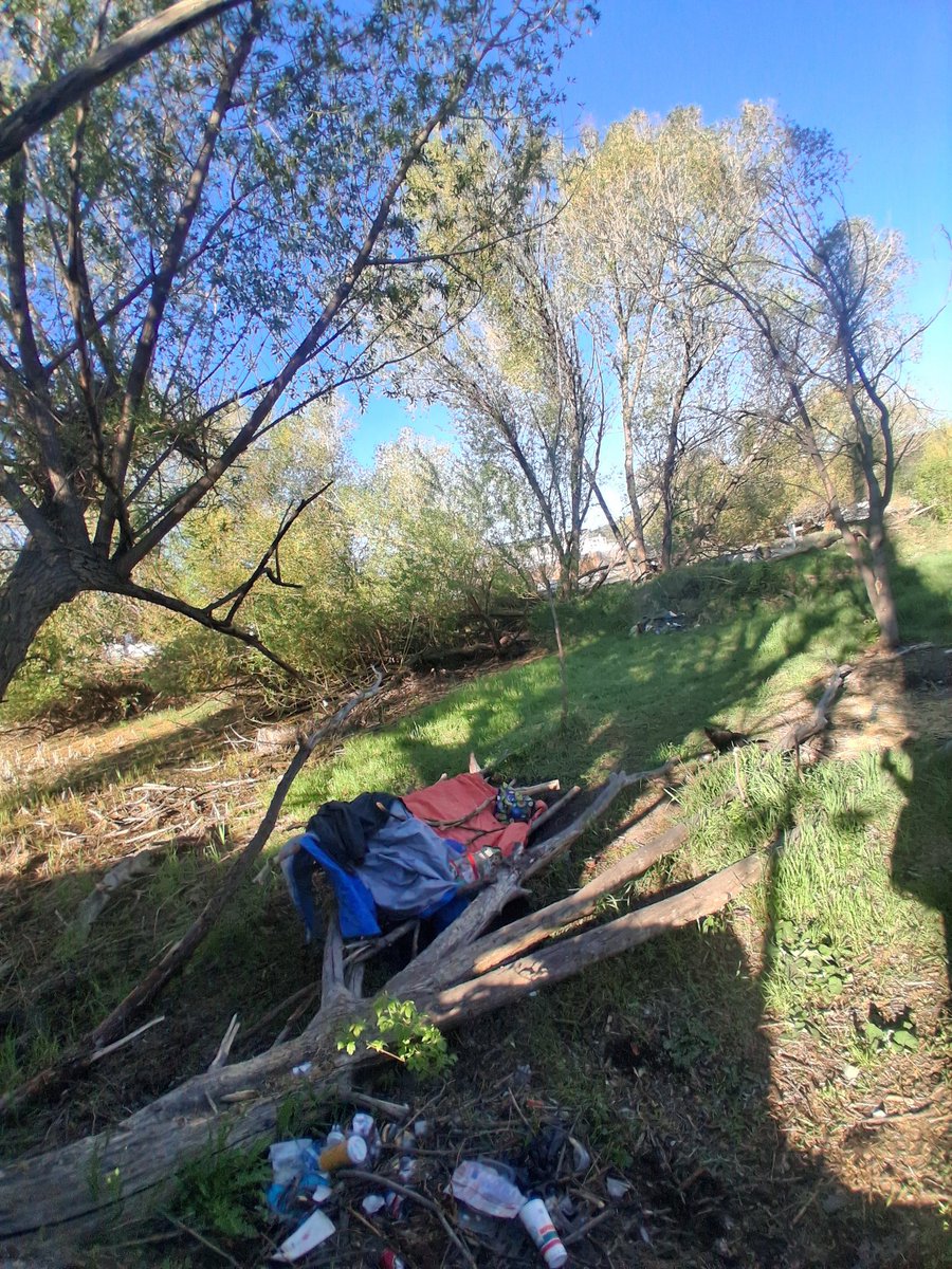 SpeBDbeezknees's tweet photo. Shadow Spe [#SpeEnforcement ‼️]
#SmartphonePhotograghy
Poo Pile in Cat Bubba Garden
Weird Spook Log 👻
Read Between The Lines 🫴 #Cunting
#FreeSpe     #X7         #TrustSpe 💯💯💯💯💯💯💯 https://t.co/xheMQ51noh