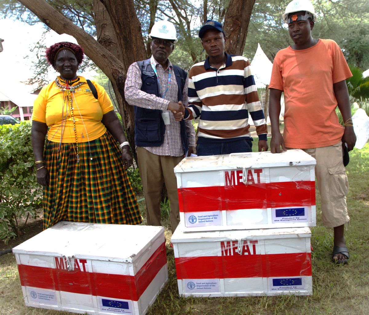 FAO in Kenya tweet media