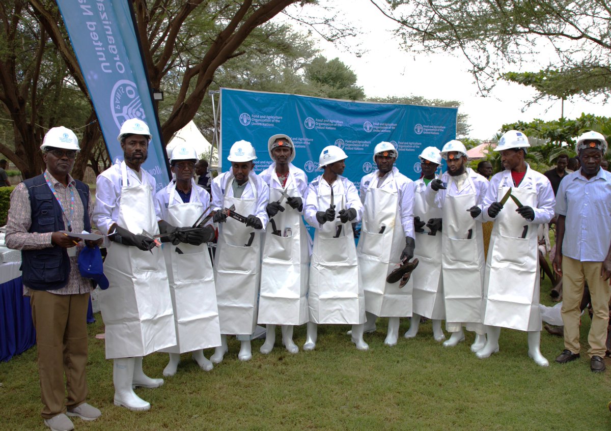 FAO in Kenya tweet media