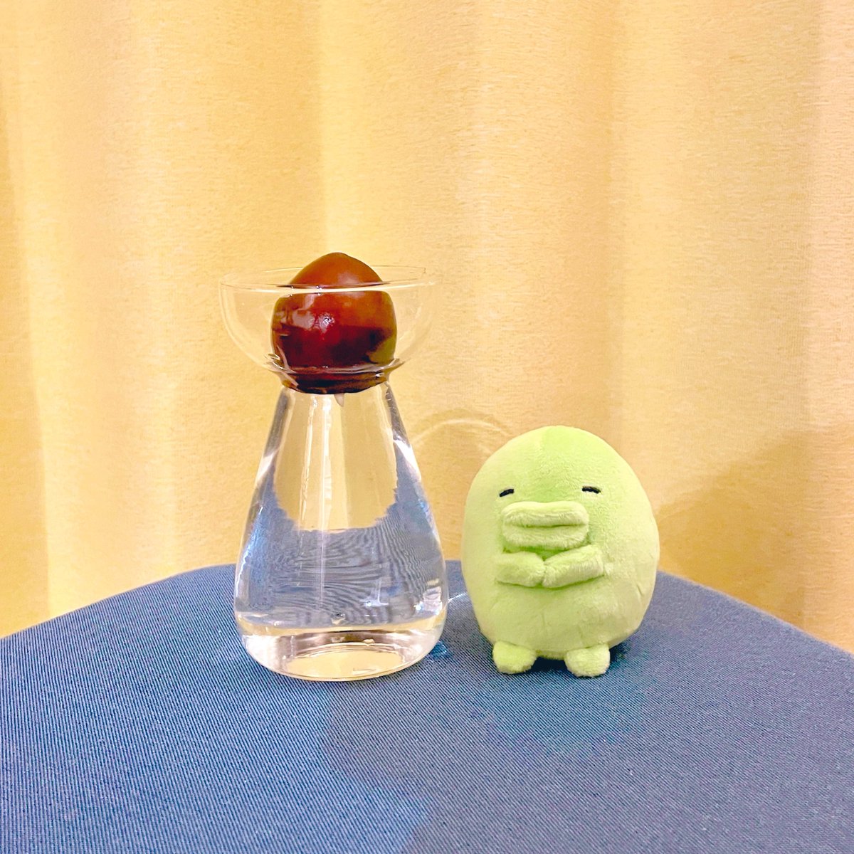 とーこ🦭 tweet media