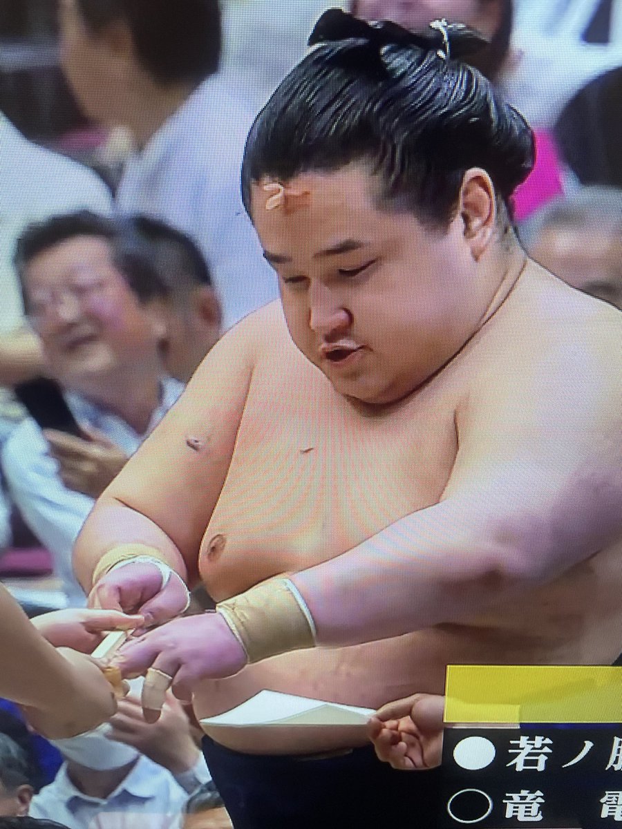Sumonekochan's tweet photo. 勝負の世界でこんなこというのはあれだけど
かわいかった絆創膏
(気迫ある取り組み)#若ノ勝 https://t.co/pbtpyEGc6M