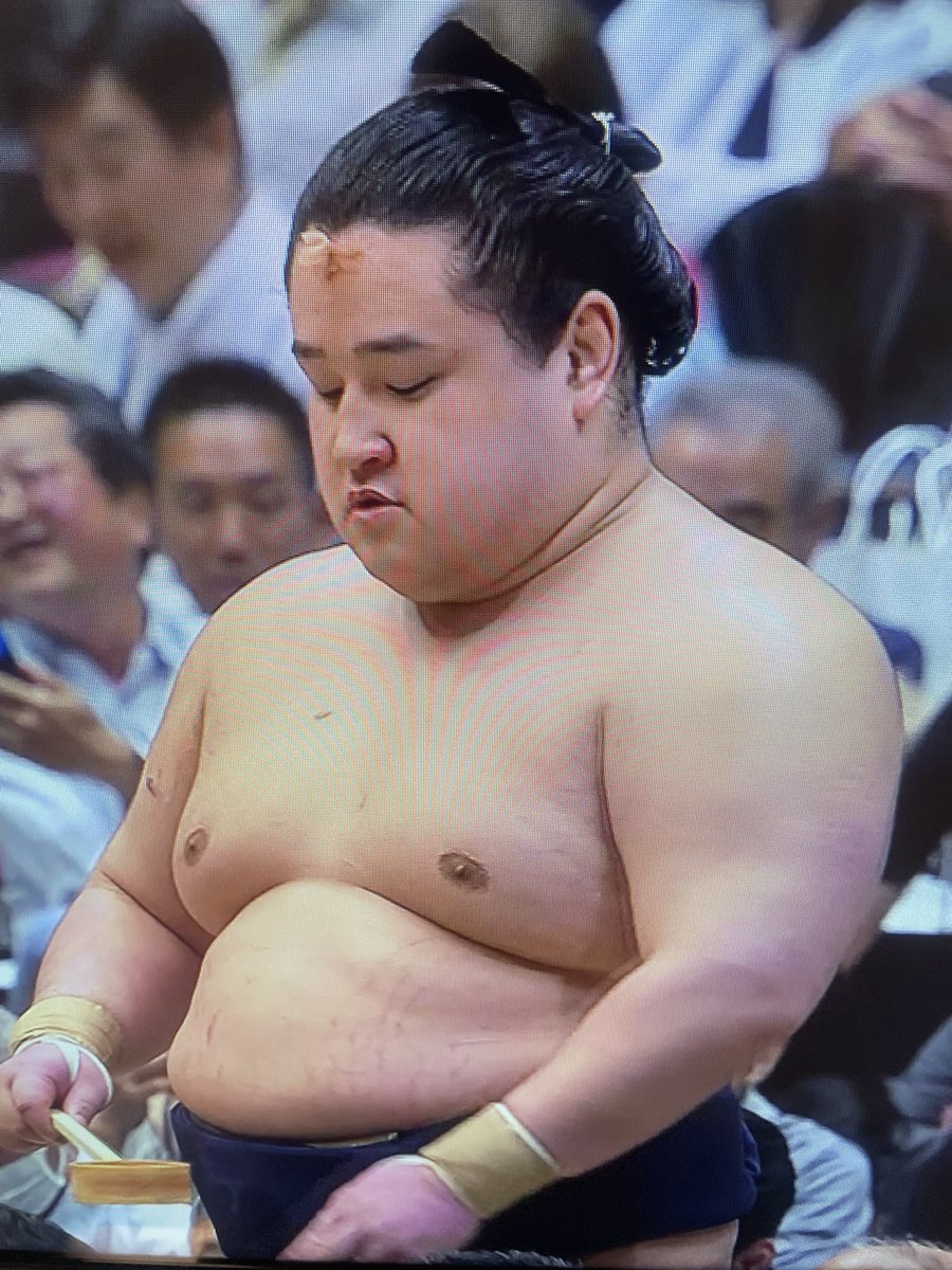 Sumonekochan's tweet photo. 勝負の世界でこんなこというのはあれだけど
かわいかった絆創膏
(気迫ある取り組み)#若ノ勝 https://t.co/pbtpyEGc6M