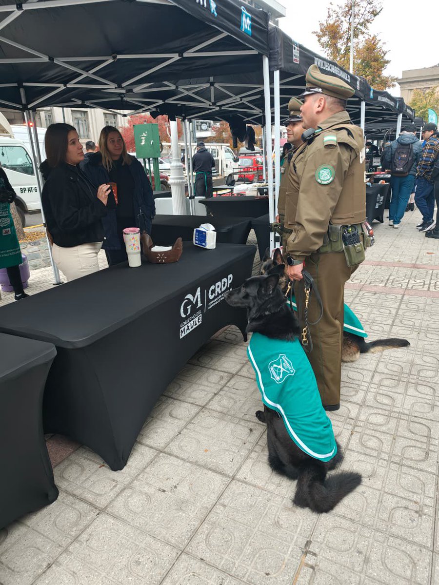 Carab_Maule's tweet photo. 🥖 ¿Sabías que hoy se celebra el Día de la Churrasca?
Nuestros carabineros de la Prefectura #Talca desplegaron servicios de orden y seguridad en la #PlazadeArmas, resguardando el desarrollo de esta tradicional actividad que reúne a emprendedores y vecinos de la comuna 🐕🦺 https://t.co/BZJkoUxdwO