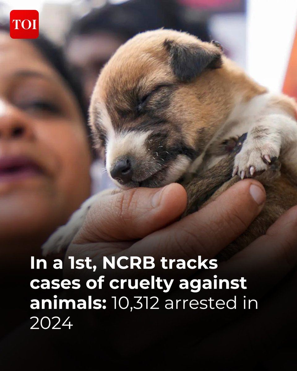 The Times Of India tweet media