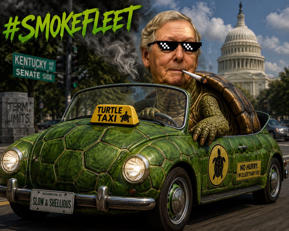 🐢Mitch McTurtleTaxi™️ 🐢 tweet media