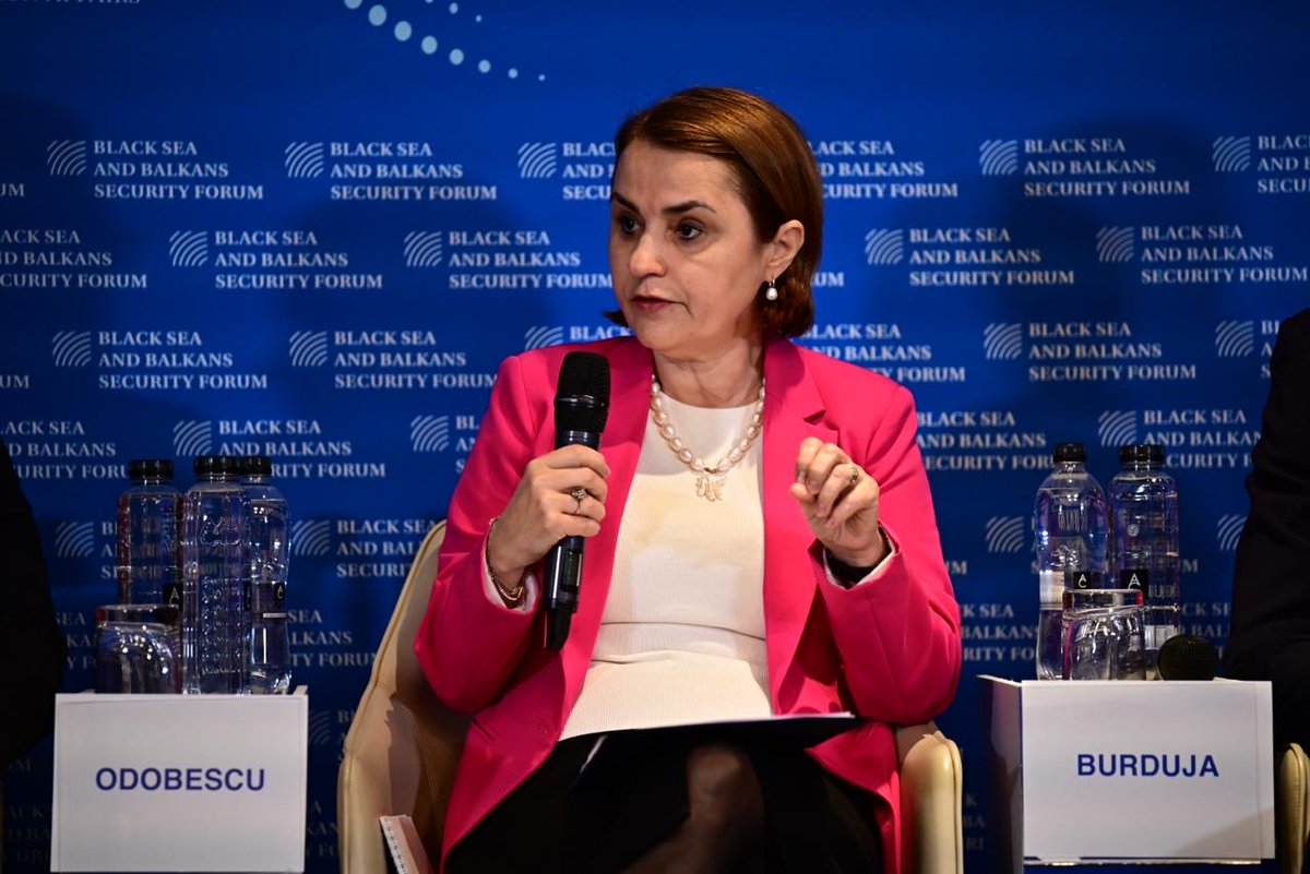 Luminita Odobescu tweet media