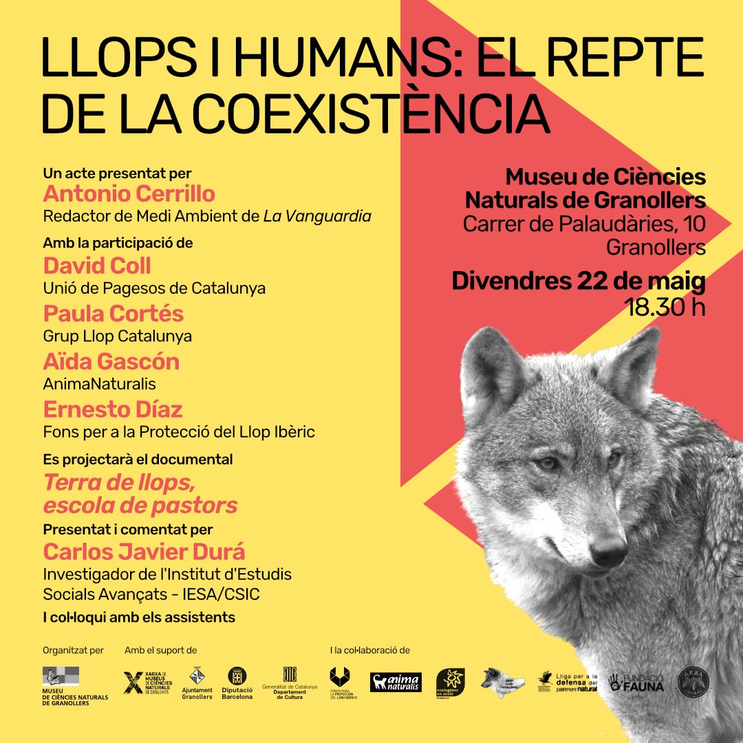 Museu de Ciències Naturals de Granollers tweet media