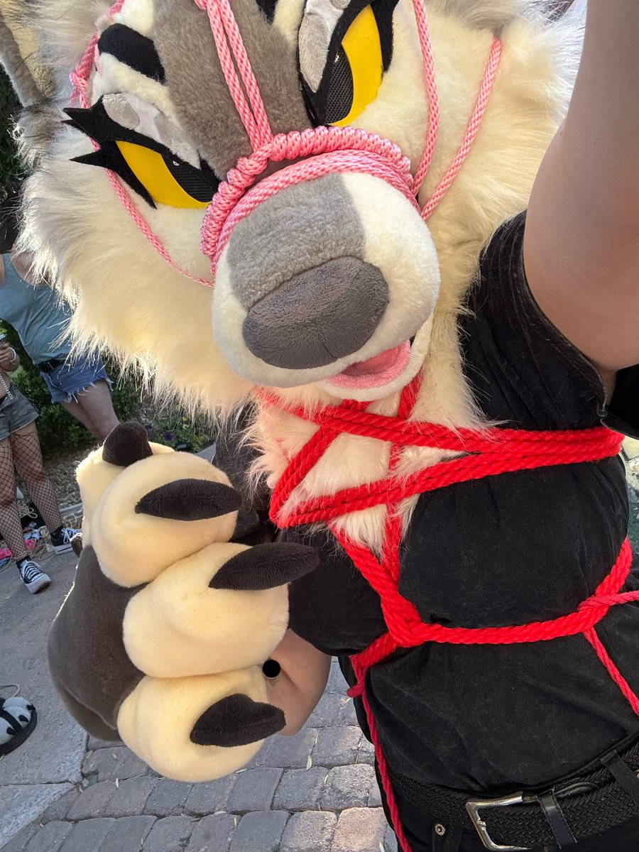 pupmaw's tweet photo. Home from FWA! 🥰

Sorry to the lovely’s I didn’t have a chance to meet up with. This wolf’s leash was pulled all different directions  😵‍💫

Next time for sure 😘💖 https://t.co/tnNprQIgmL