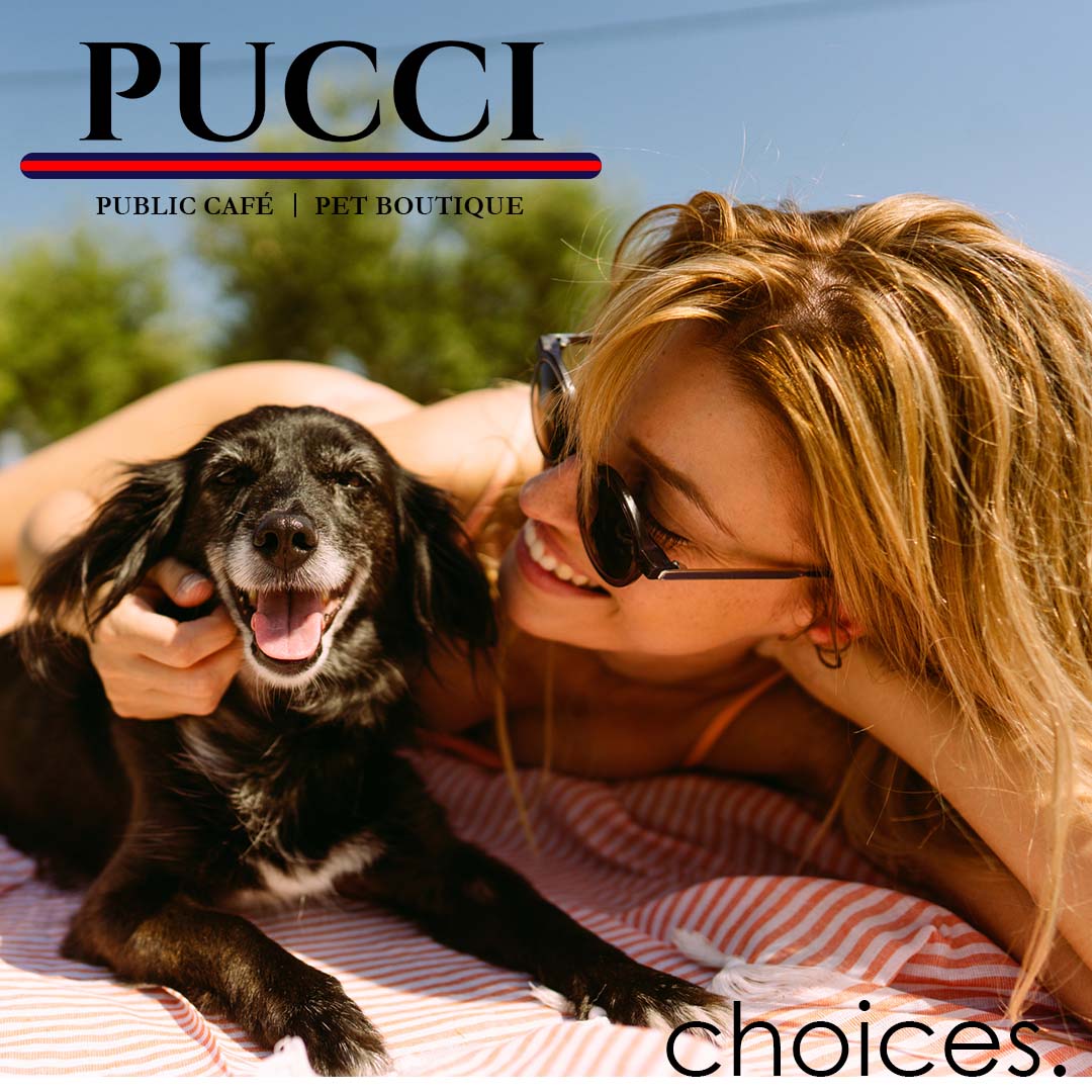 PUCCI Café tweet media