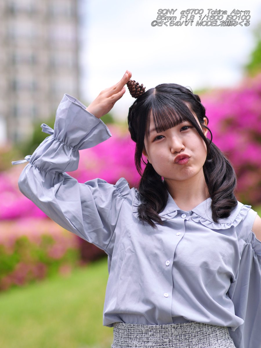 🇺🇦さくら🐇のパパ🇯🇵高配当株に移行中🇺🇦 (@K70_55) / Posts / X
