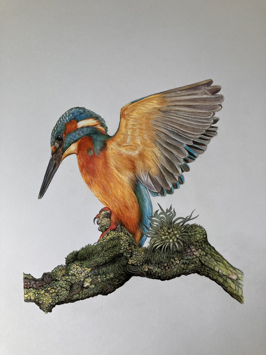 Lisa Wellwood Artist tweet media