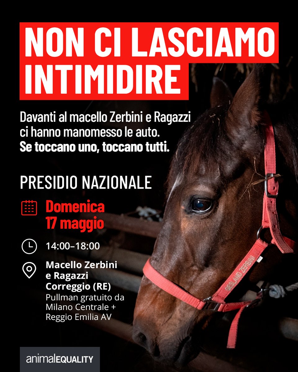 AnimalEqualityItalia tweet media
