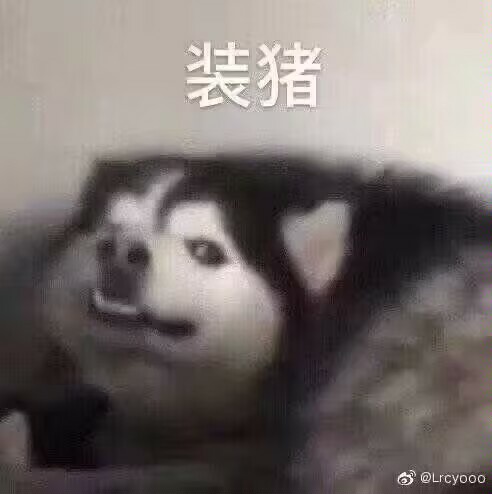 朝云 tweet media