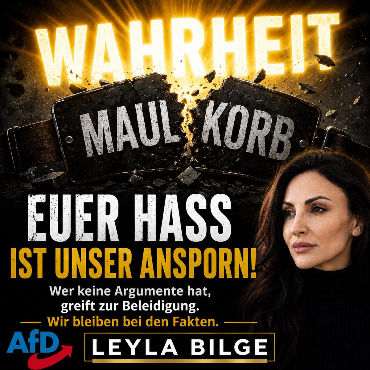 Leyla Bilge tweet media