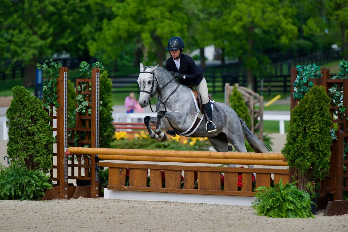 drlanigan's tweet photo. Kentucky Spring show @KyHorsePark in the books. Thank you Nori Scheffel for making it all work. #KY #USA https://t.co/6b96dNA0w0
