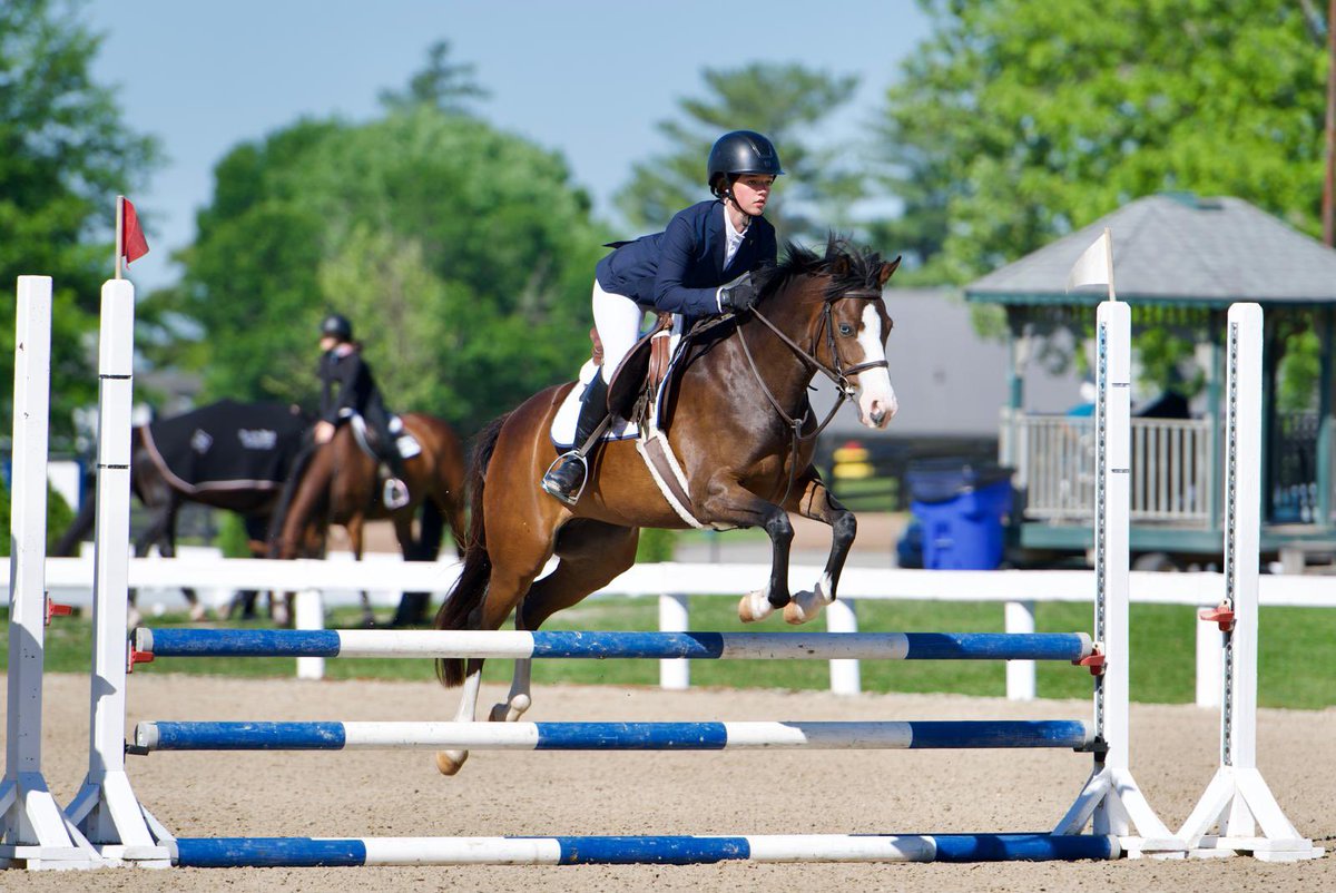 drlanigan's tweet photo. Kentucky Spring show @KyHorsePark in the books. Thank you Nori Scheffel for making it all work. #KY #USA https://t.co/6b96dNA0w0
