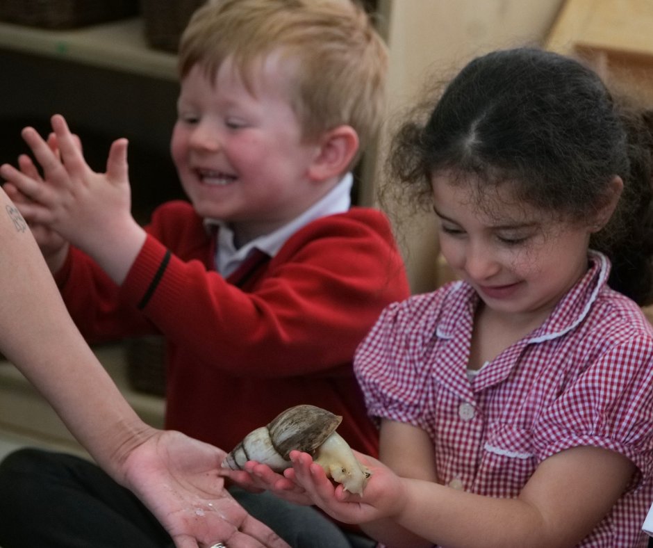 NULS_Nursery's tweet photo. We were delighted to welcome Dominique from ZooLab who brought a fascinating array of creatures to meet our children.

Our youngest pupils showed incredible curiosity and we were so proud to see them handle each animal with such gentle care and respect.

#WeareNULS https://t.co/ZaIRFvnvwI