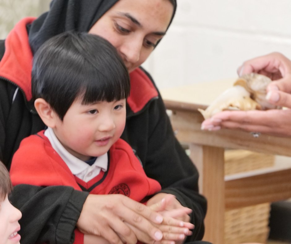 NULS_Nursery's tweet photo. We were delighted to welcome Dominique from ZooLab who brought a fascinating array of creatures to meet our children.

Our youngest pupils showed incredible curiosity and we were so proud to see them handle each animal with such gentle care and respect.

#WeareNULS https://t.co/ZaIRFvnvwI