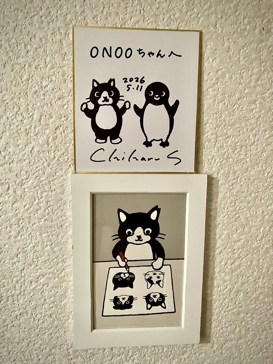 坂崎千春さんと立ち上げた #白黒さんいらっしゃい は9年目🐈‍⬛を