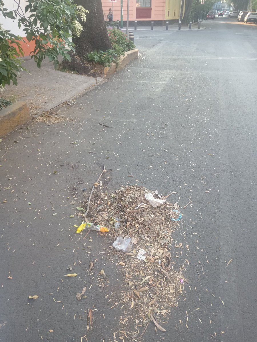 BjPortales's tweet photo. @locatel_mx @BJAlcaldia @AccionesBJ @ReportesBenito @ReportandoCDMX1 @LuisMendozaBJ como cada semana el barrendero  hijo de don José de las calles Víctor Hugo y Suiza 03570 no barre solo biene a extorsionar a los vecinos y se va ojalá nos puedan apoyar 🧹🙏 https://t.co/ZgDprvSpNK