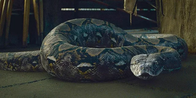 Voldemort De Rabicho A sexta Horcrux que Voldemort criou, ou pelo menos era o que ele ...
