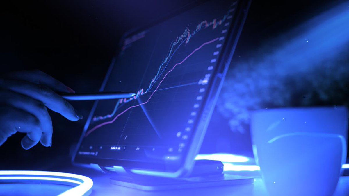 BitBull tweet media