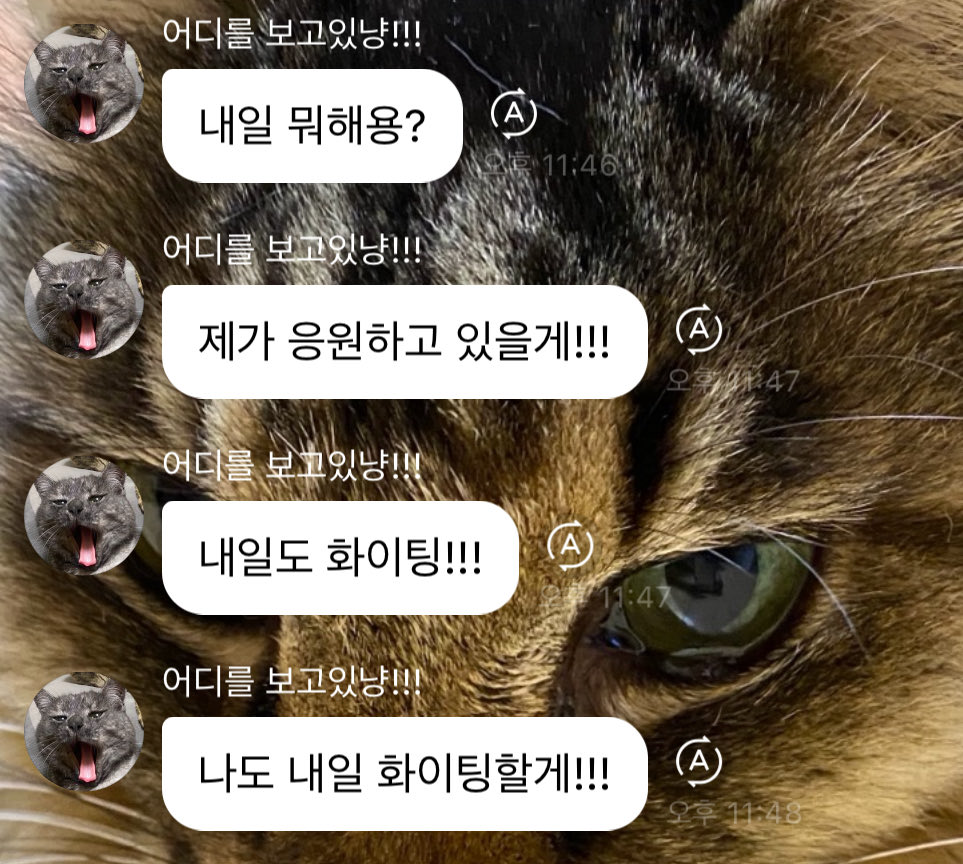 와키∴ tweet media