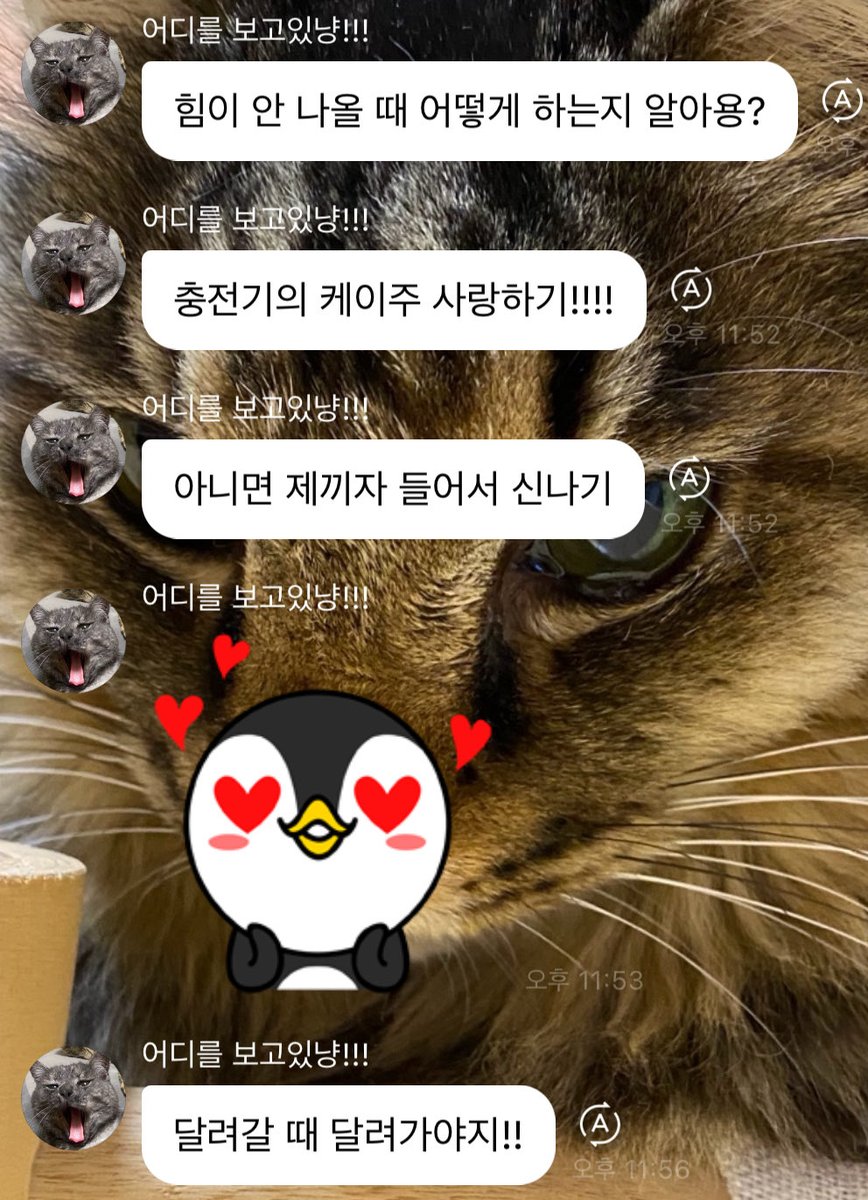 와키∴ tweet media