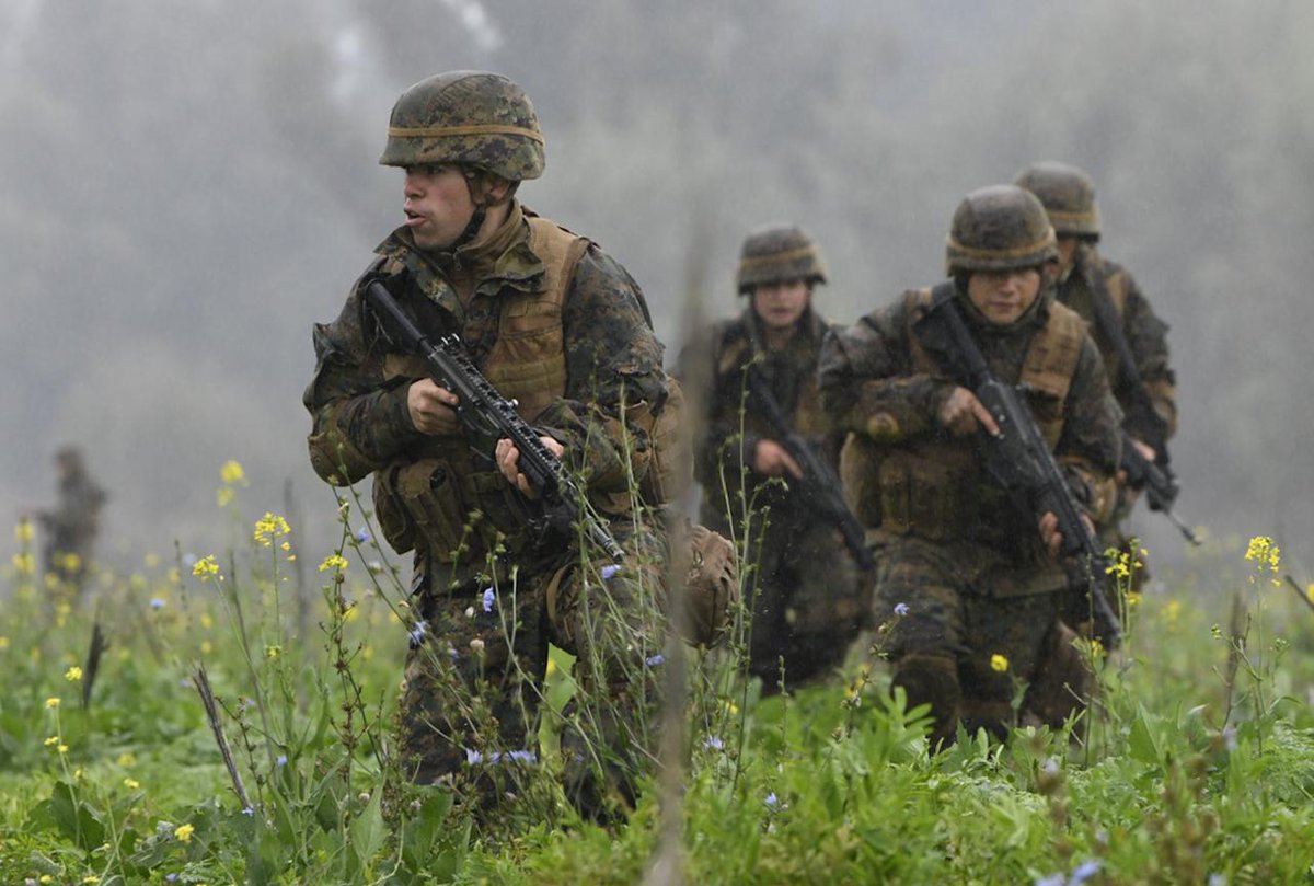 Ejército de Chile tweet media