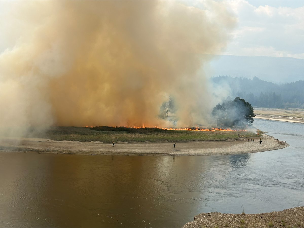 U.S. Wildland Fire Service tweet media