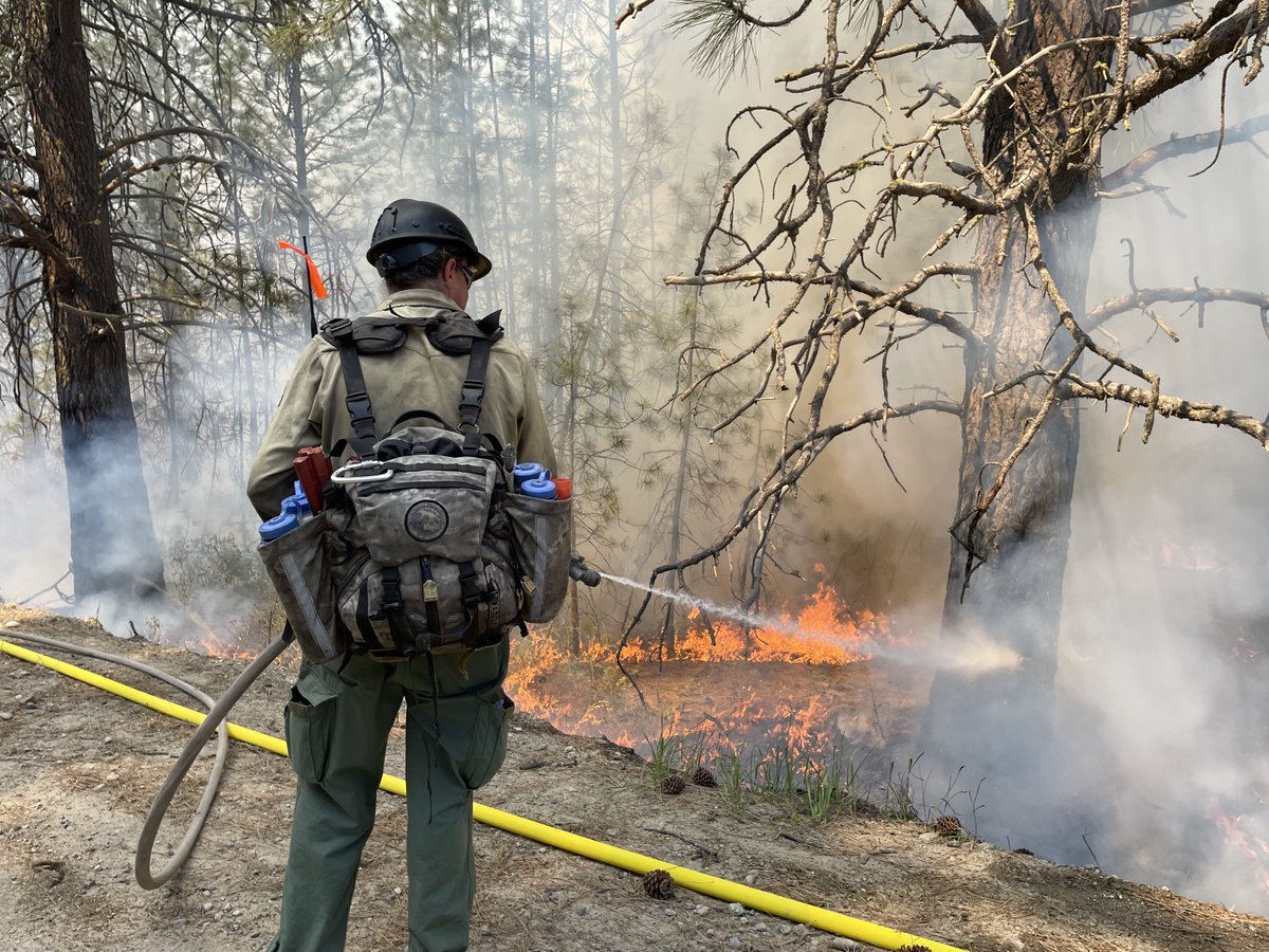 U.S. Wildland Fire Service tweet media