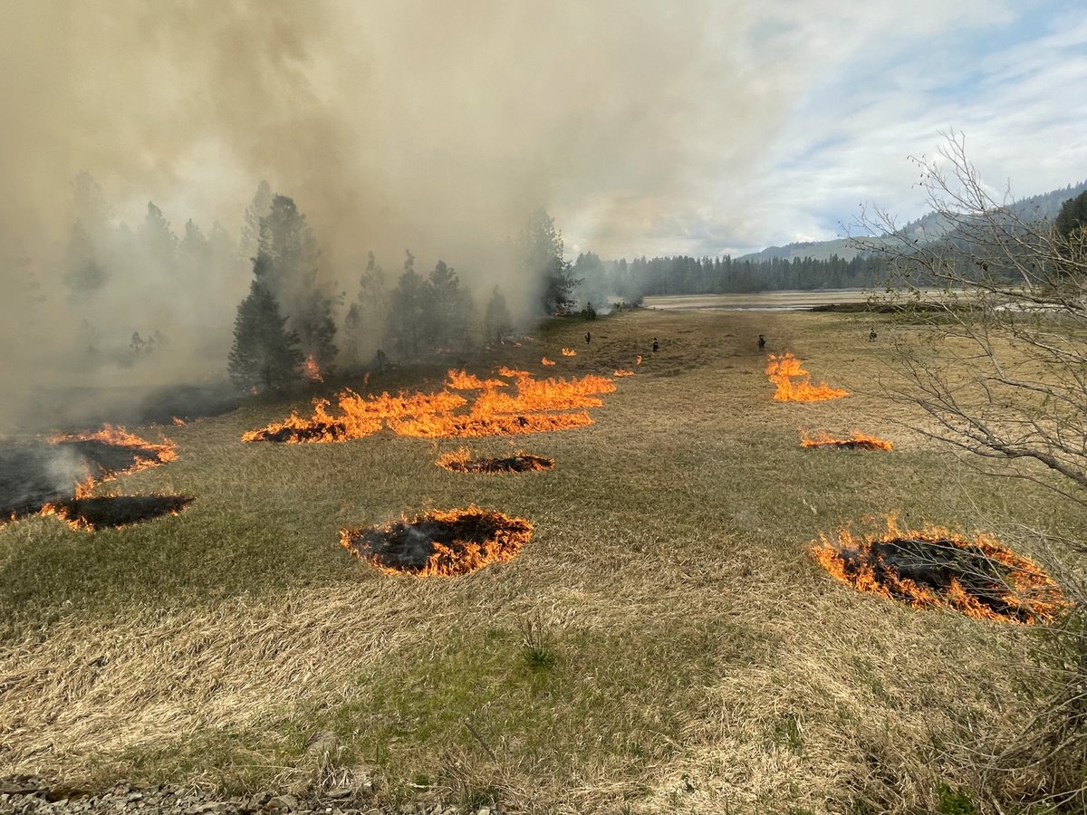 U.S. Wildland Fire Service tweet media