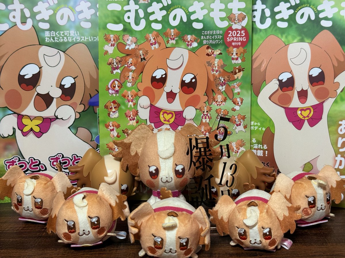 nstime23's tweet photo. 多すぎて一部しか並べられなかったぜ……
#犬飼こむぎ生誕祭
#犬飼こむぎ生誕祭2026 https://t.co/Kewse9OKNs
