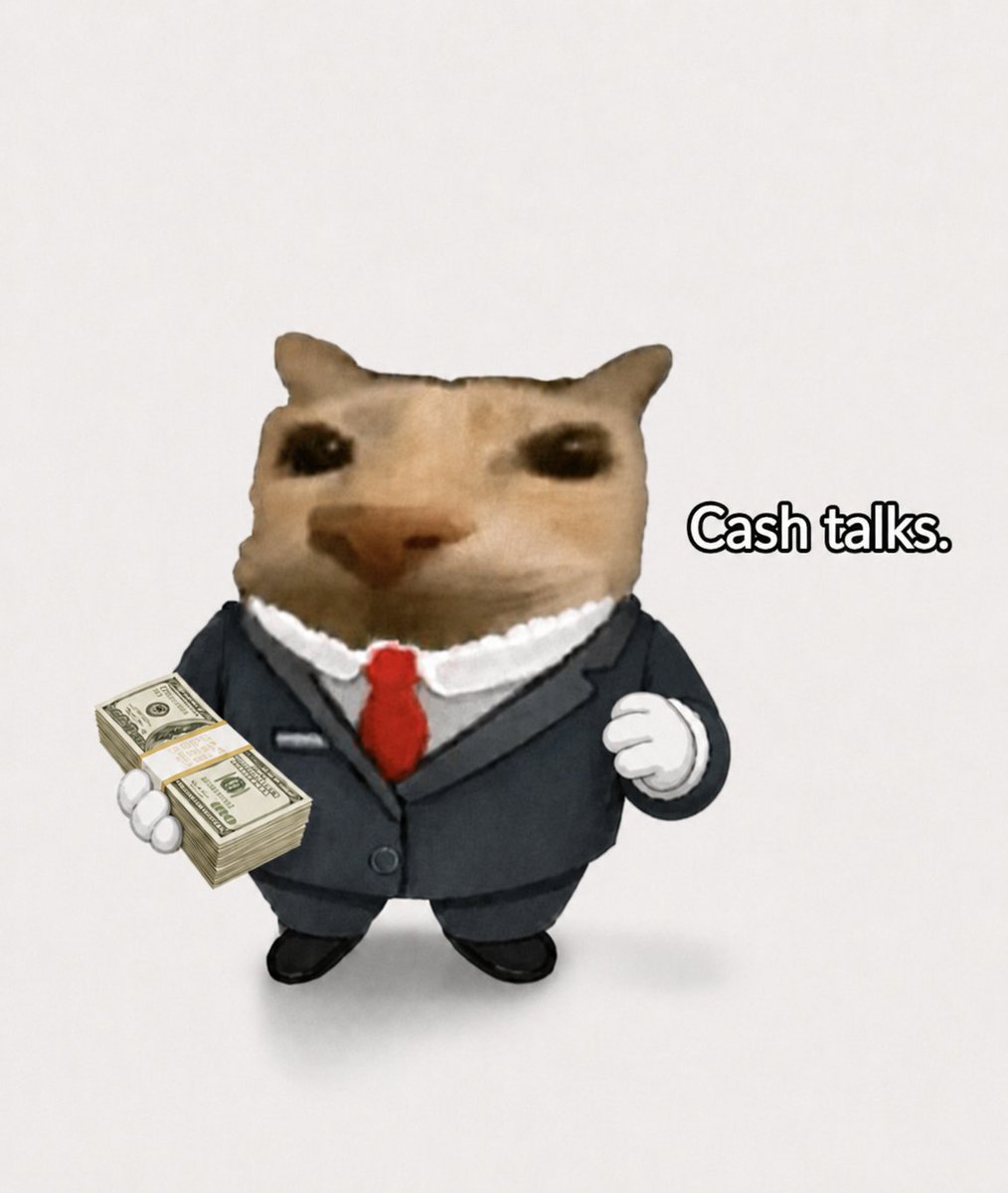 Business Cat tweet media
