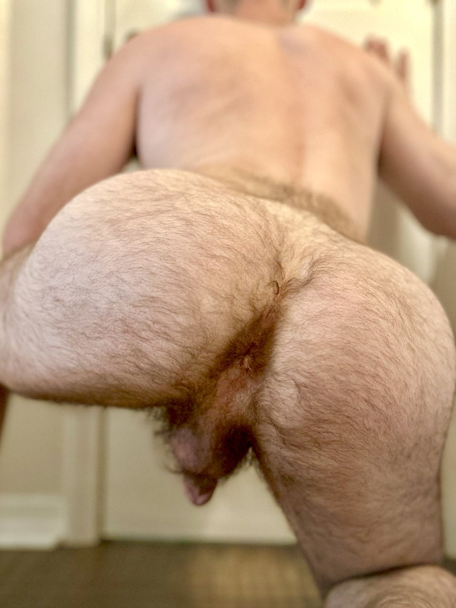 HoleFurry's tweet photo. The #hairybutt on @stevenb514 makes my tongue wiggle. https://t.co/pIdtrJwQCe