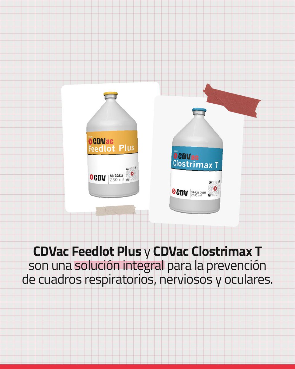 Laboratorio CDV tweet media