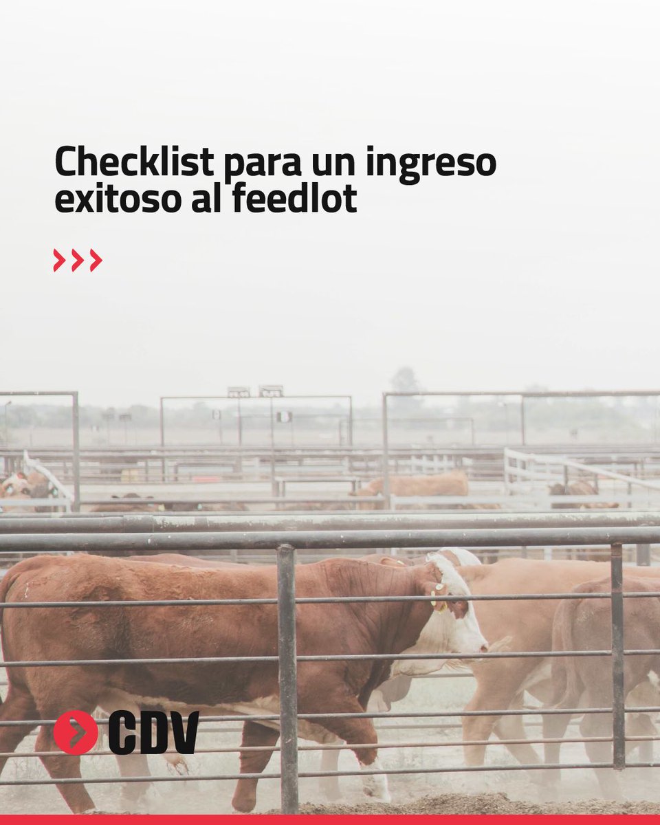Laboratorio CDV tweet media