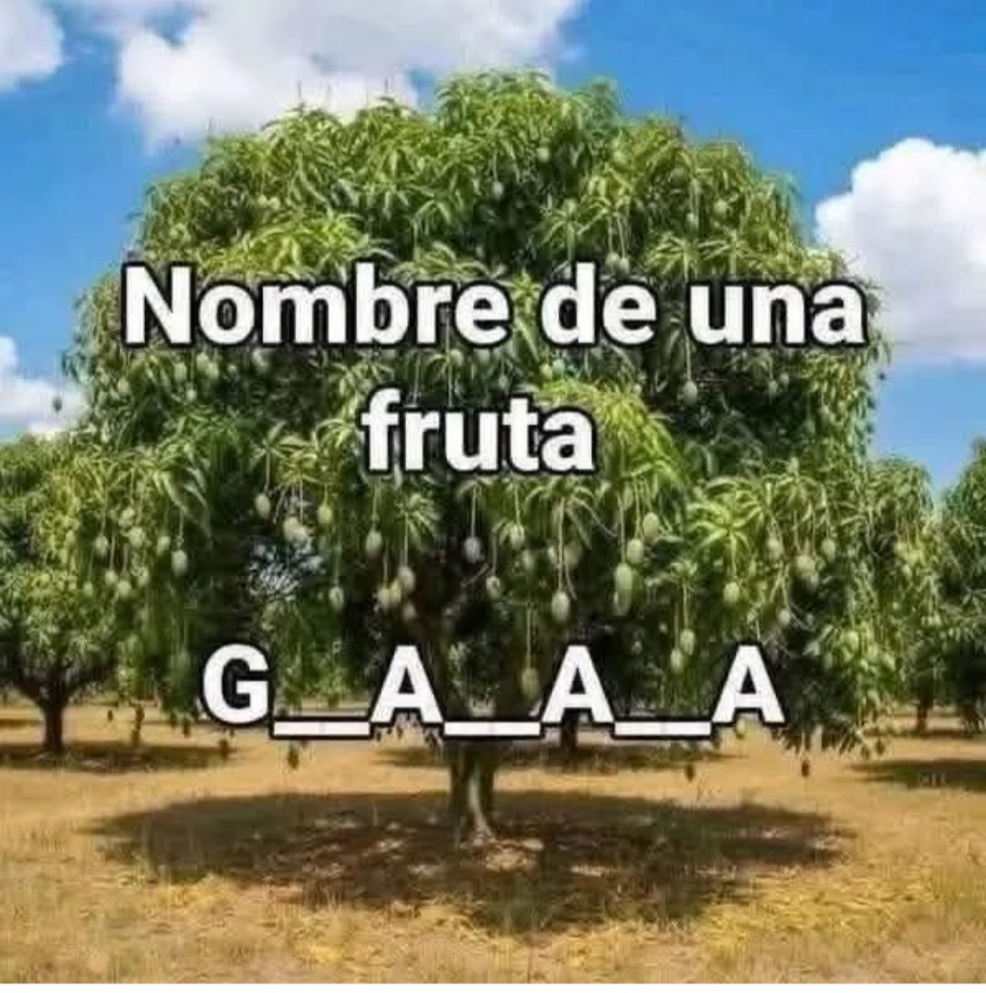 SandraQuiñones tweet media